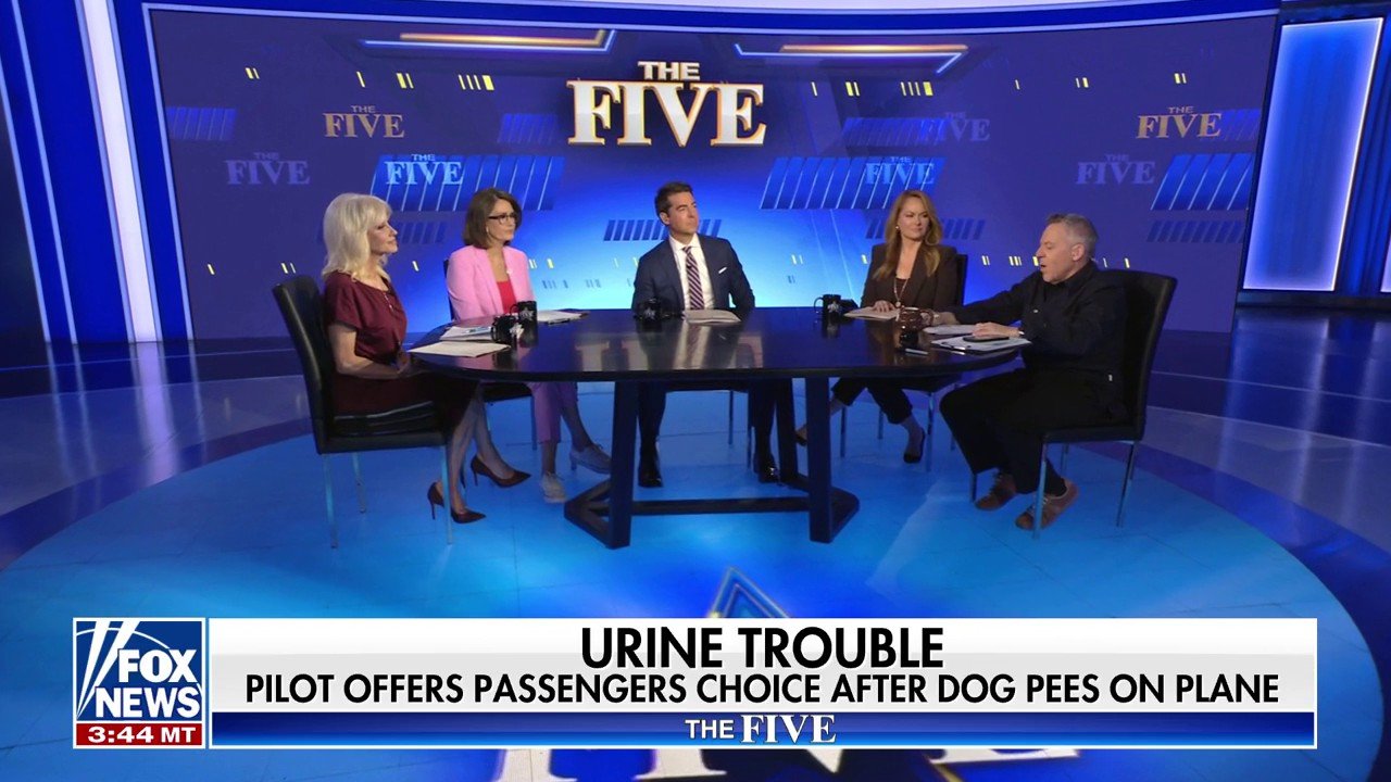 'The Five': 'Ruff choice' reported for plane passengers after awkward dilemma