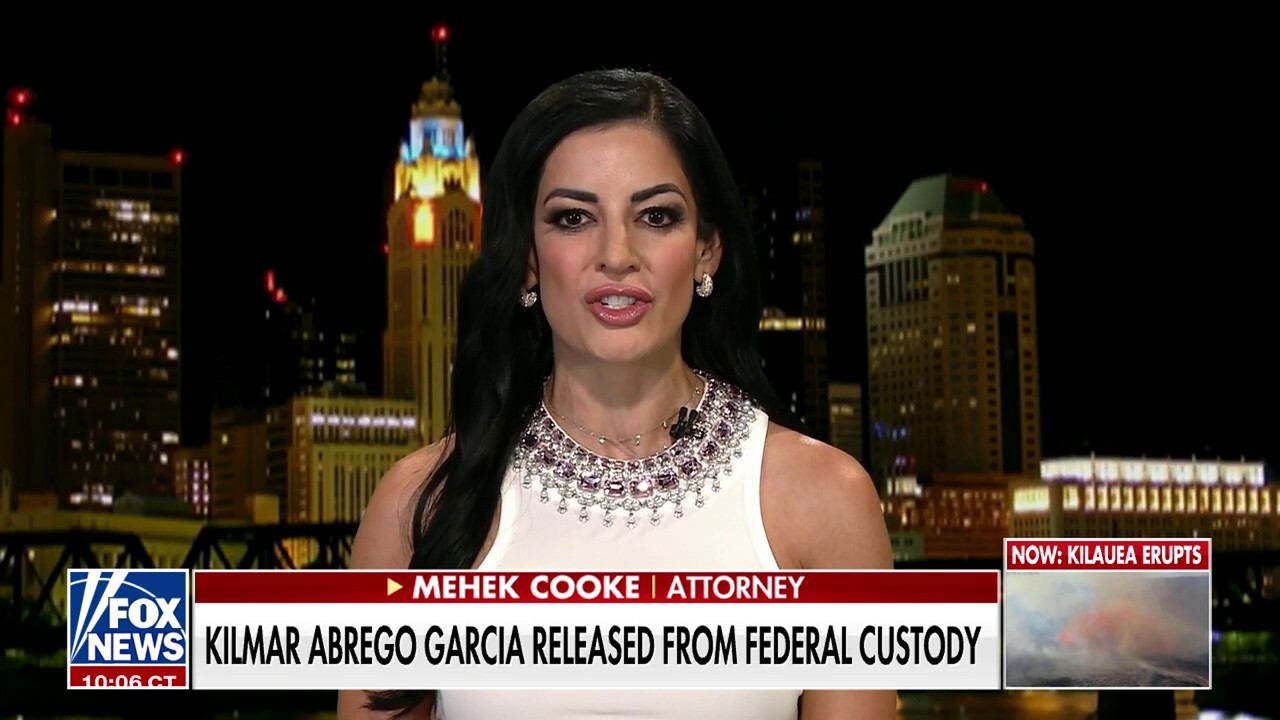 Attorney sounds off on judge over Kilmar Abrego Garcia release: We're witnessing 'judicial sabotage'