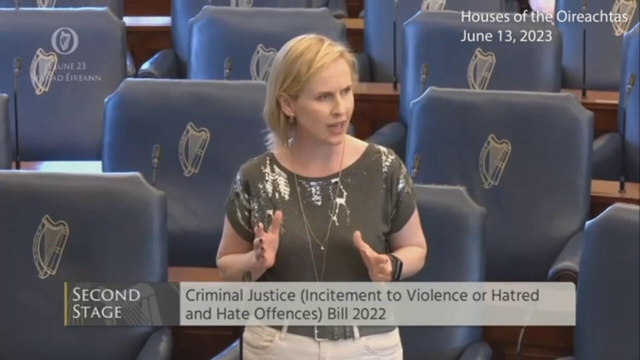 Ирландски сенатор подложен на обстрел заради защитаване на законопроект за ограничаване на свободата на словото