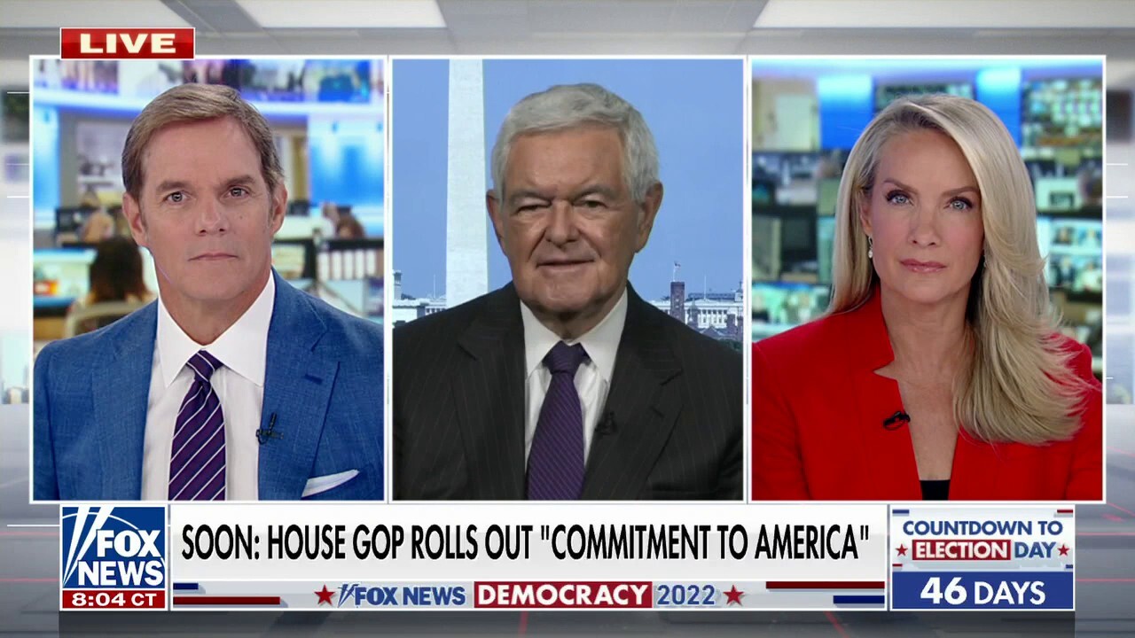 Gingrich touts GOP's midterm agenda on 'America's Newsroom, says only liberals think these ideas are extreme