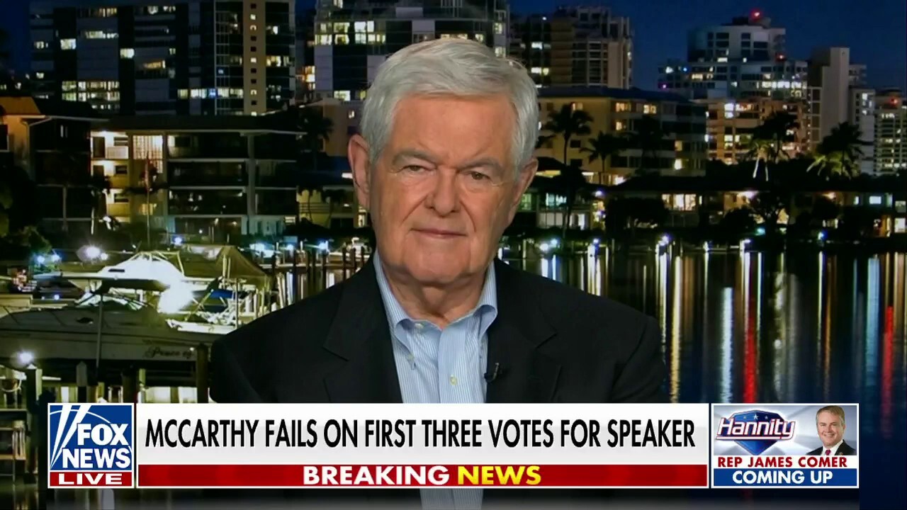 Newt Gingrich: A number of 'so called insurgents' are putting 'their re-election at risk' over the House speaker vote