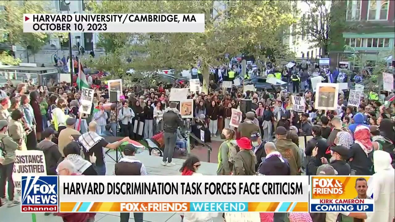 Harvard blasted for 'anti-Arab bias' report after antisemitic incidents on campus