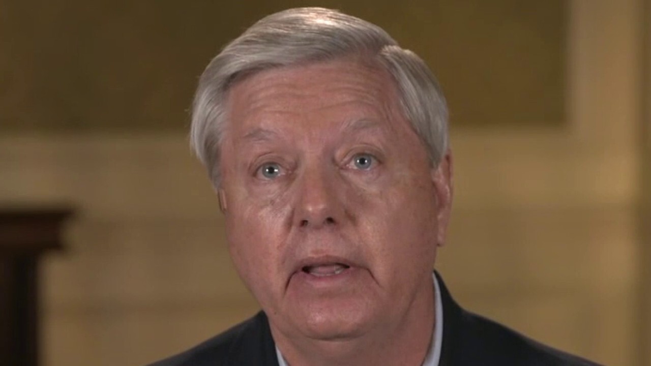 Sen. Graham on Trump's 'Scarlet Letter' impeachment: 'This is insane at every level' 