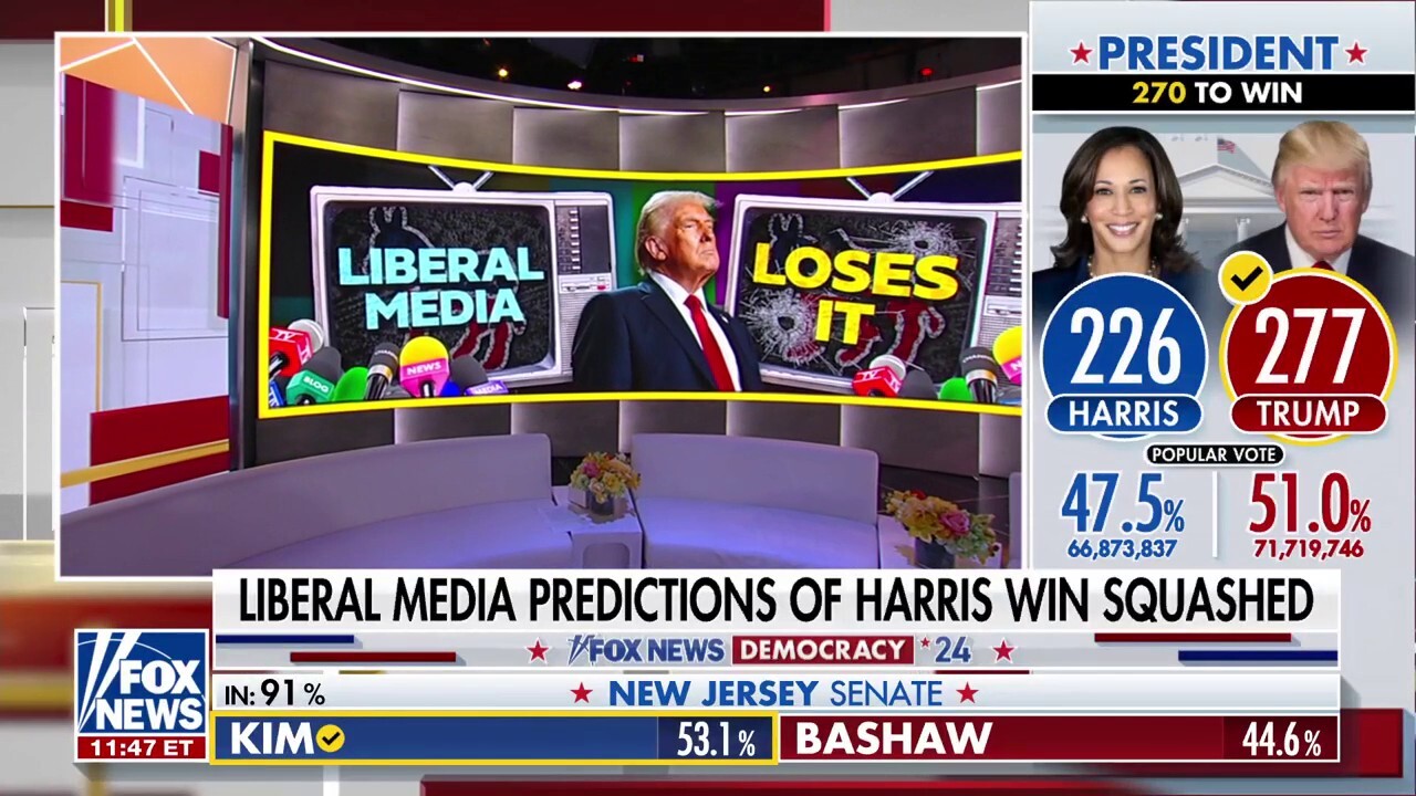 Liberal pundits react to Trump win: 'Who are we as a country?'