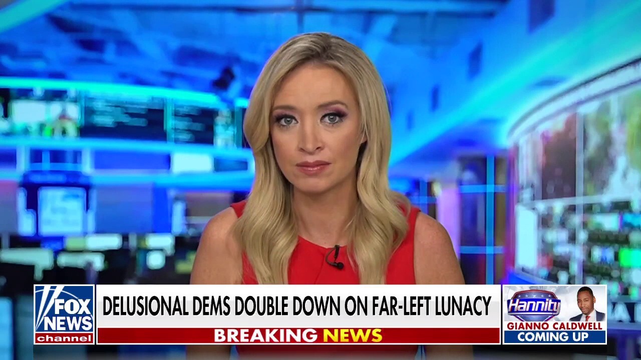 When the left doesn't get its way they want to 'abolish the institution': McEnany