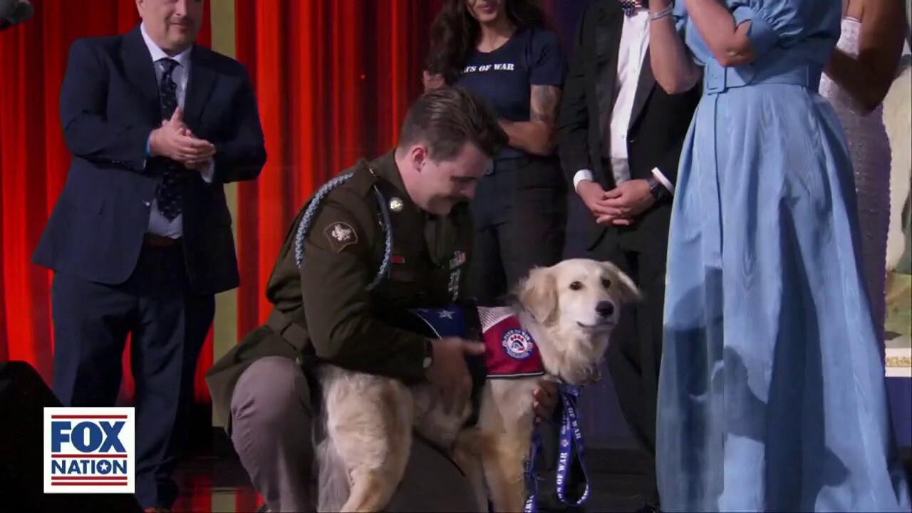 Veteran has surprise reunion with a special pup from overseas