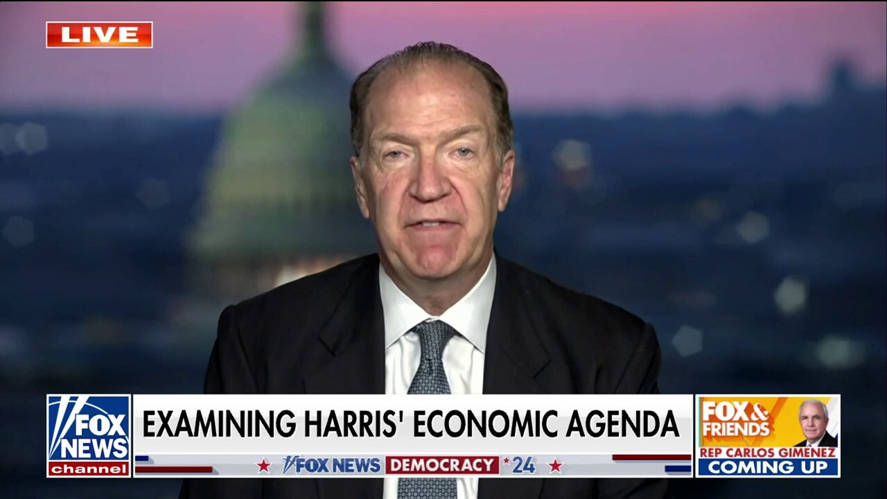 Impact of Harris' policy speech is 'not good for the economy': David Malpass