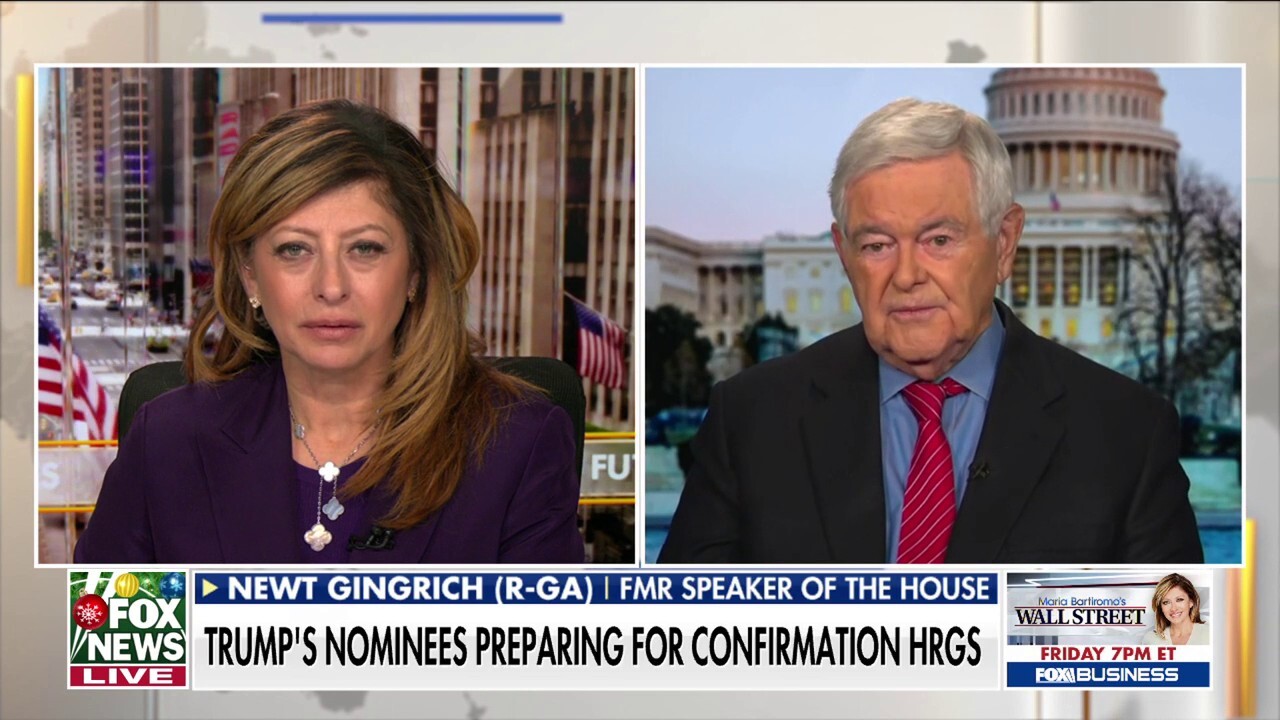 There's a 'Trump effect' you can feel, says Newt Gingrich 