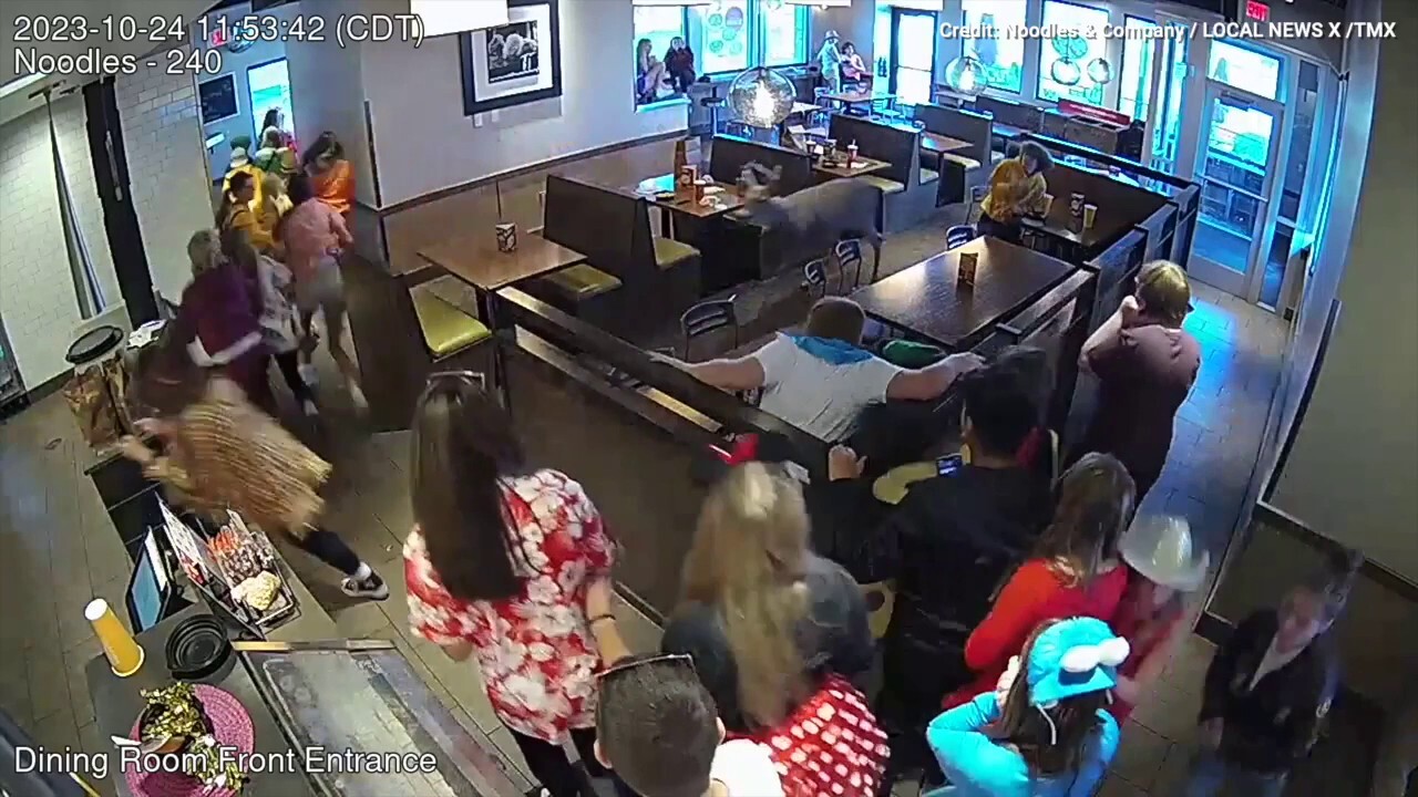 Oh deer! Watch as an unexpected guest surprises restaurant-goers