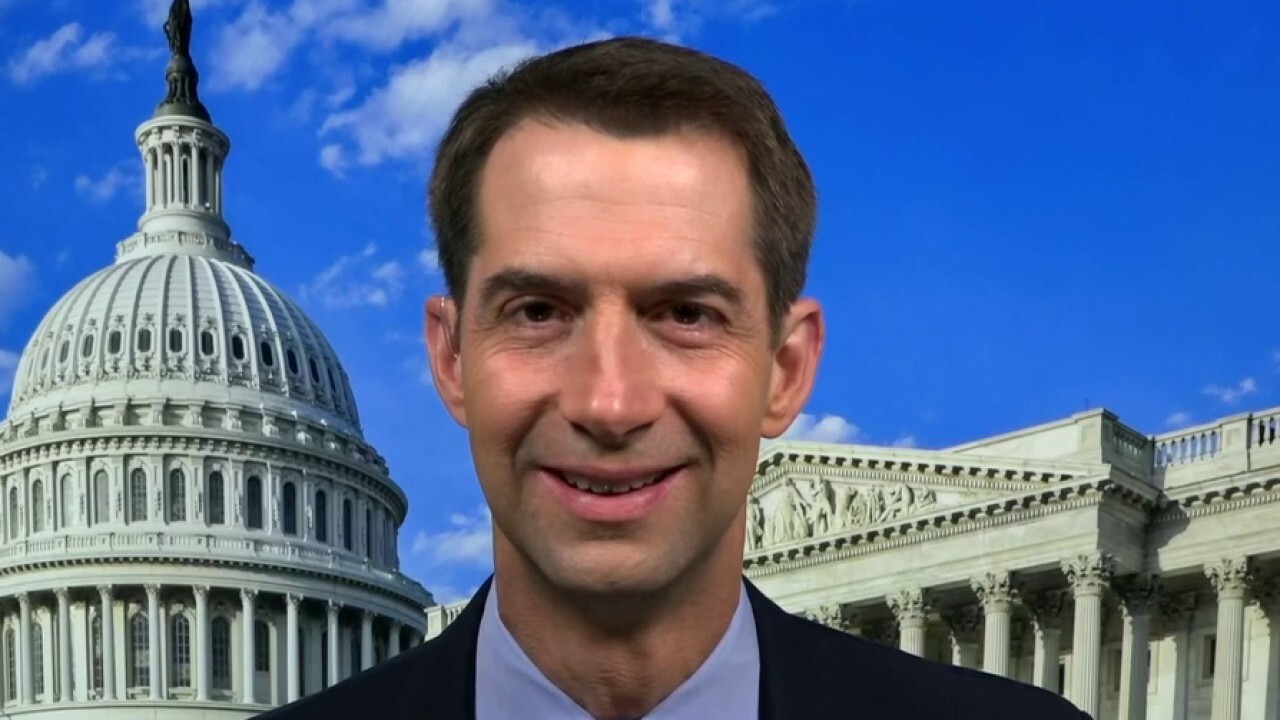 Sen. Tom Cotton on coronavirus origins: All the evidence points to one of two labs in Wuhan	