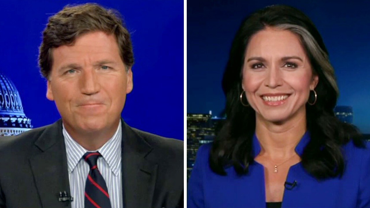 Tulsi Gabbard: Biden administration is trying to sell us on this absurd cover-up story