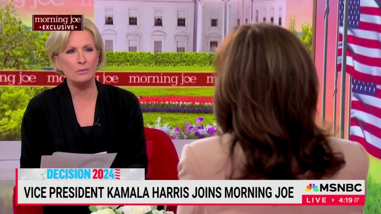 MSNBC host complains to Kamala Harris the race is too close with Trump: 'What's going on?'