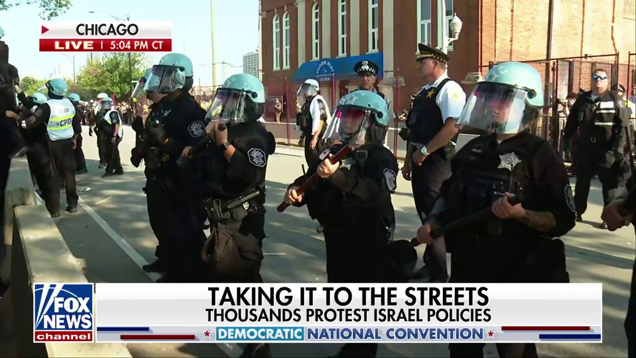 Police hit with sticks, signs at Chicago protests