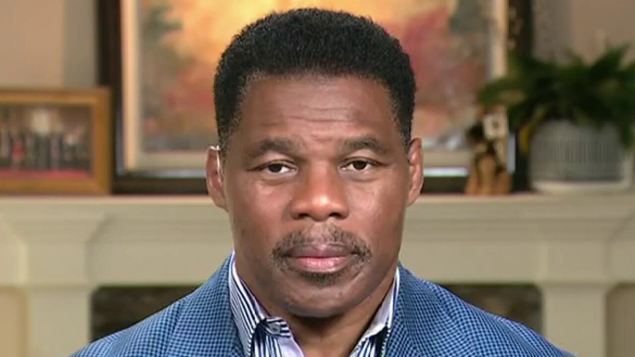 Americans have to ‘come together’ and bring power back to the people: Herschel Walker
