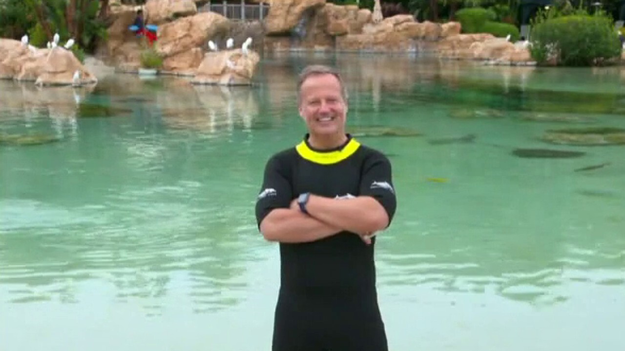 Rick Reichmuth visits the Grand Reef at Discovery Cove