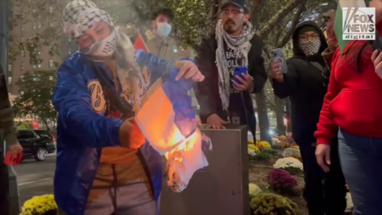 Pro-Palestinian protester sets fire to Israeli flag
