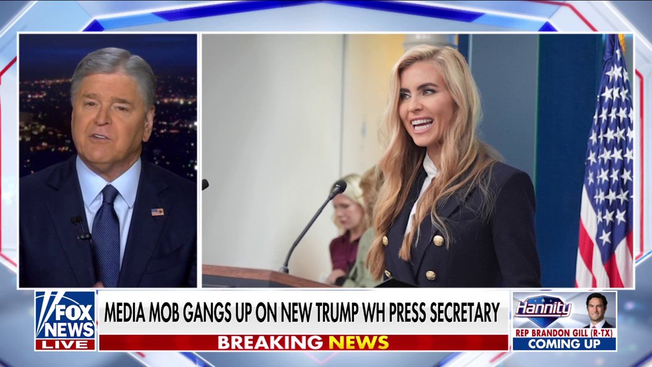 Hannity: So-called 'media' are out for blood