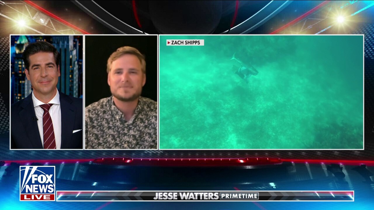 Shark attack survivor reflects: 'It was an out of body experience'