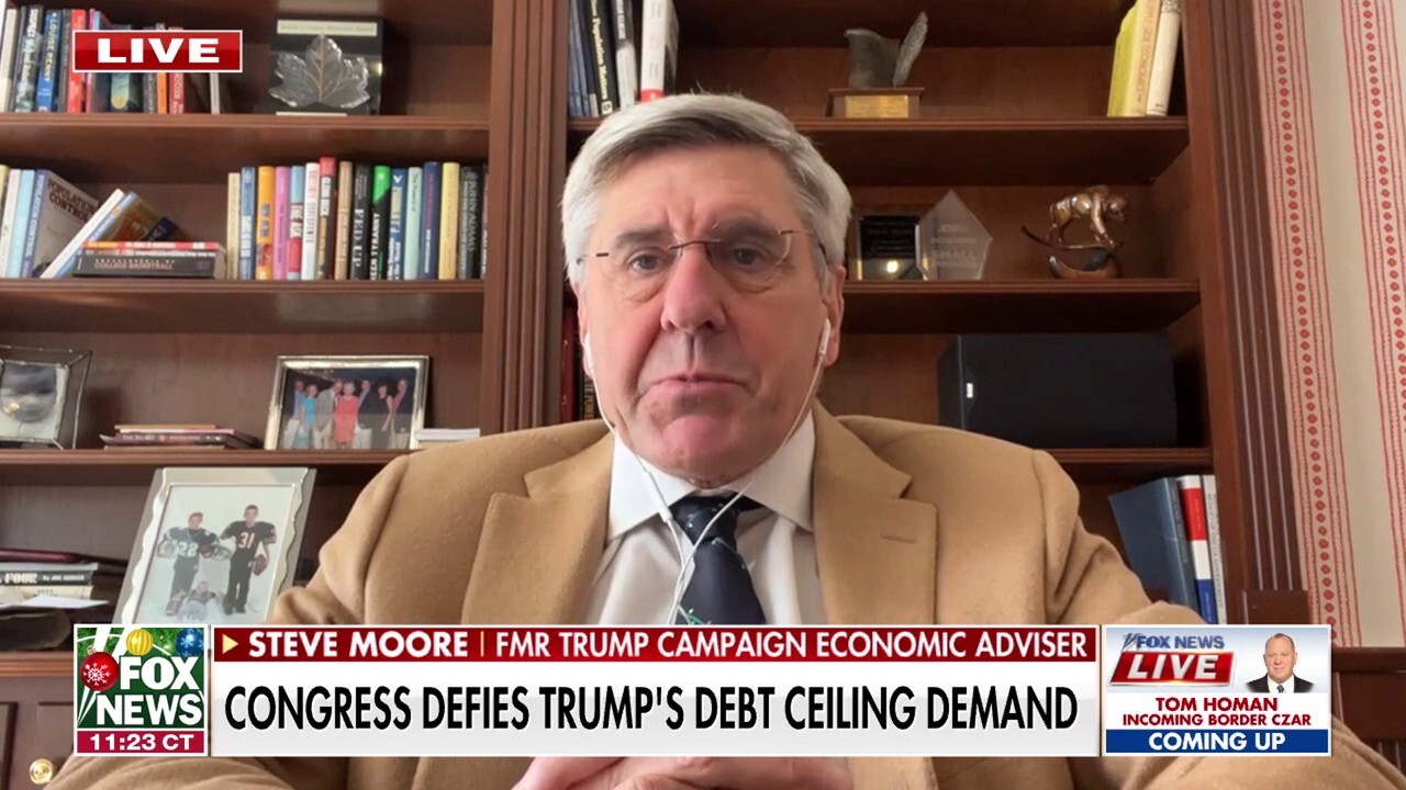 Former Trump campaign economic adviser Steve Moore on Congress' passing the government funding bill, raising the debt ceiling, the potential impact on consumer prices from tariffs and the Federal Reserve's forecast on rate cuts.