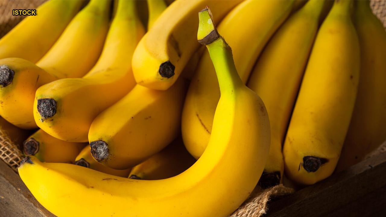 Banana fungus may create 'apocalyptic scenario' for most popular type of fruit