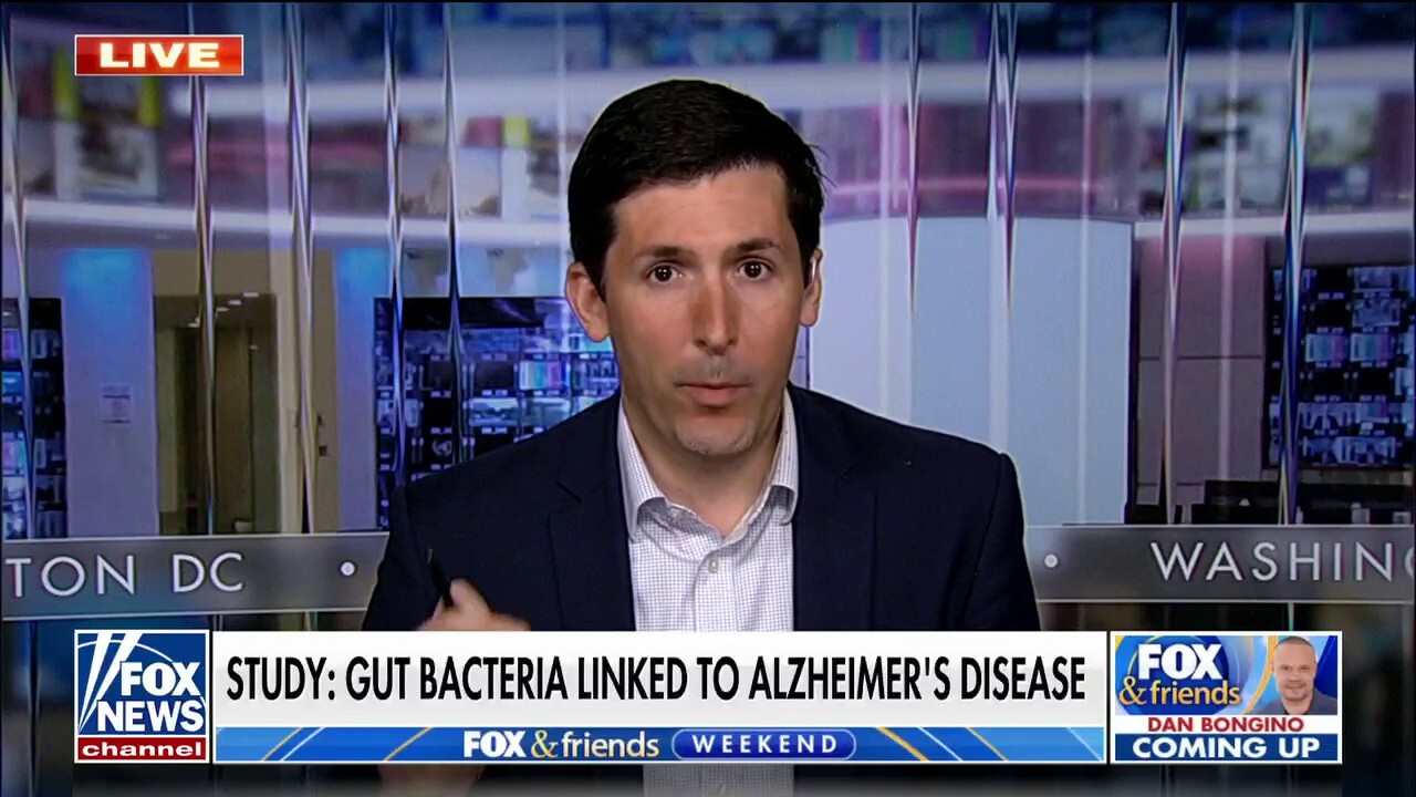 New study links gut bacteria to Alzheimer's