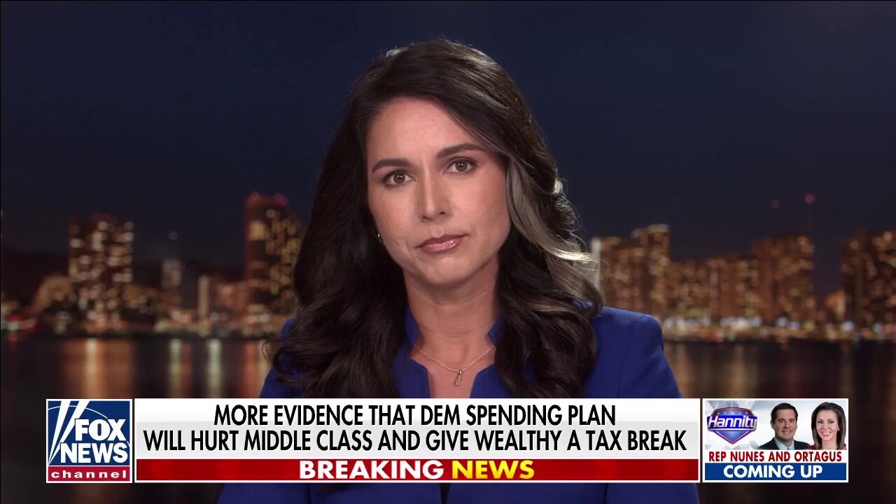 Tulsi Gabbard: DC too focused on ‘partisan politics’ instead of solving nation’s problems