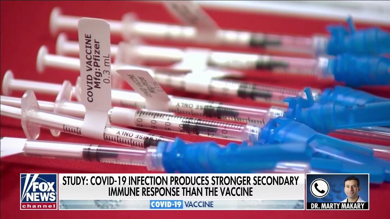Natural COVID-19 infections produce strong secondary immune response than vaccine: study