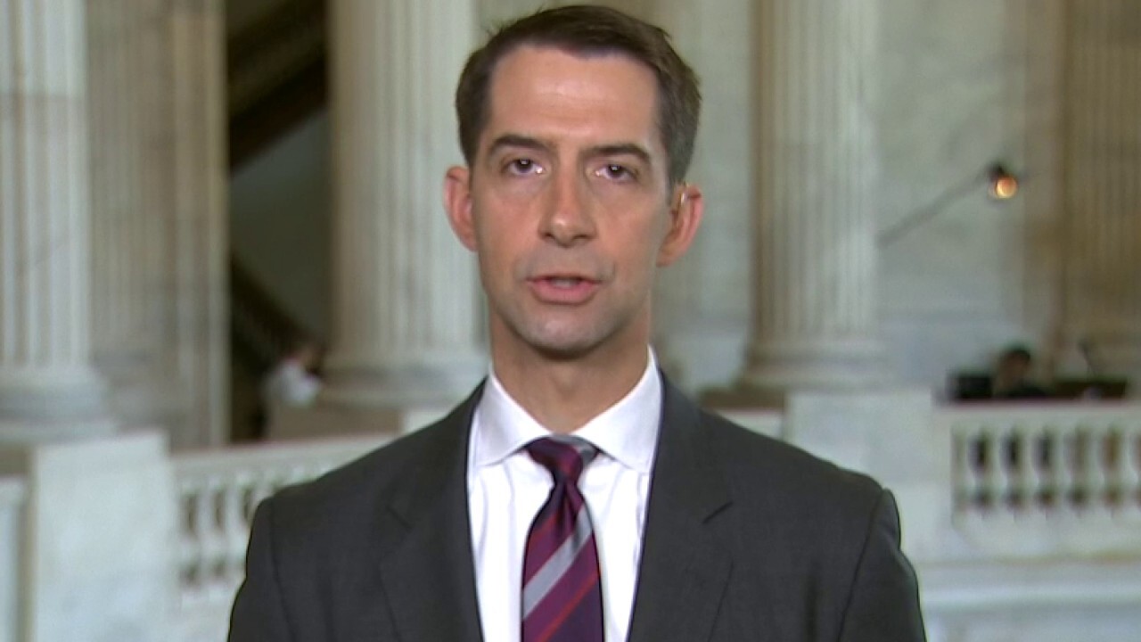 Sen. Cotton: All evidence points to COVID-19 coming directly from Wuhan labs'