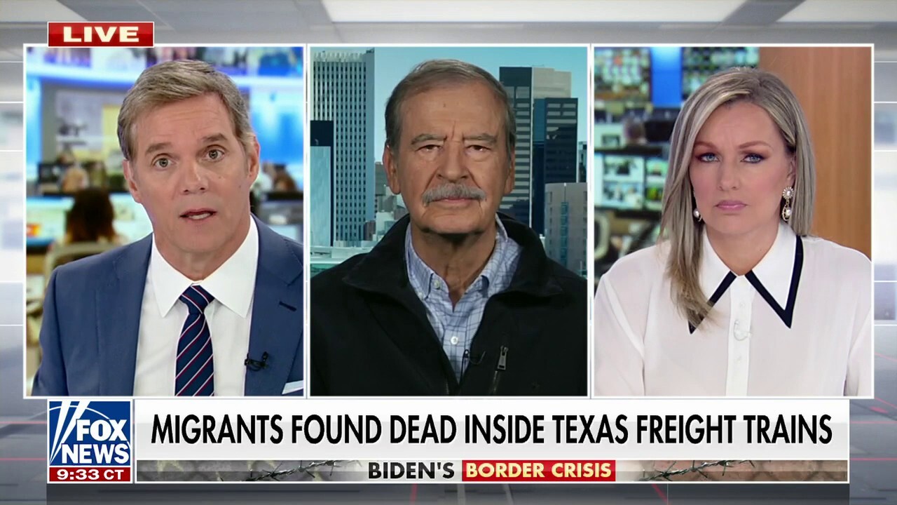 Former Mexican president sounds off on cartels amid border crisis: 'We need to fight them together'
