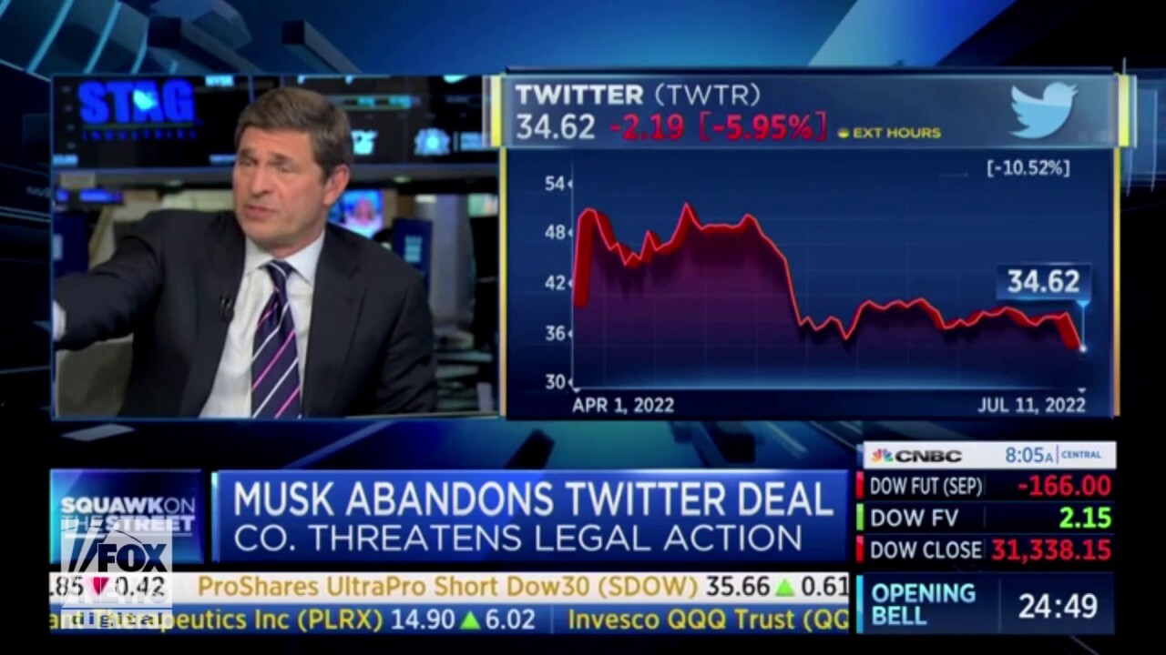 CNBC host suggests Elon Musk could end up in jail following broken Twitter deal