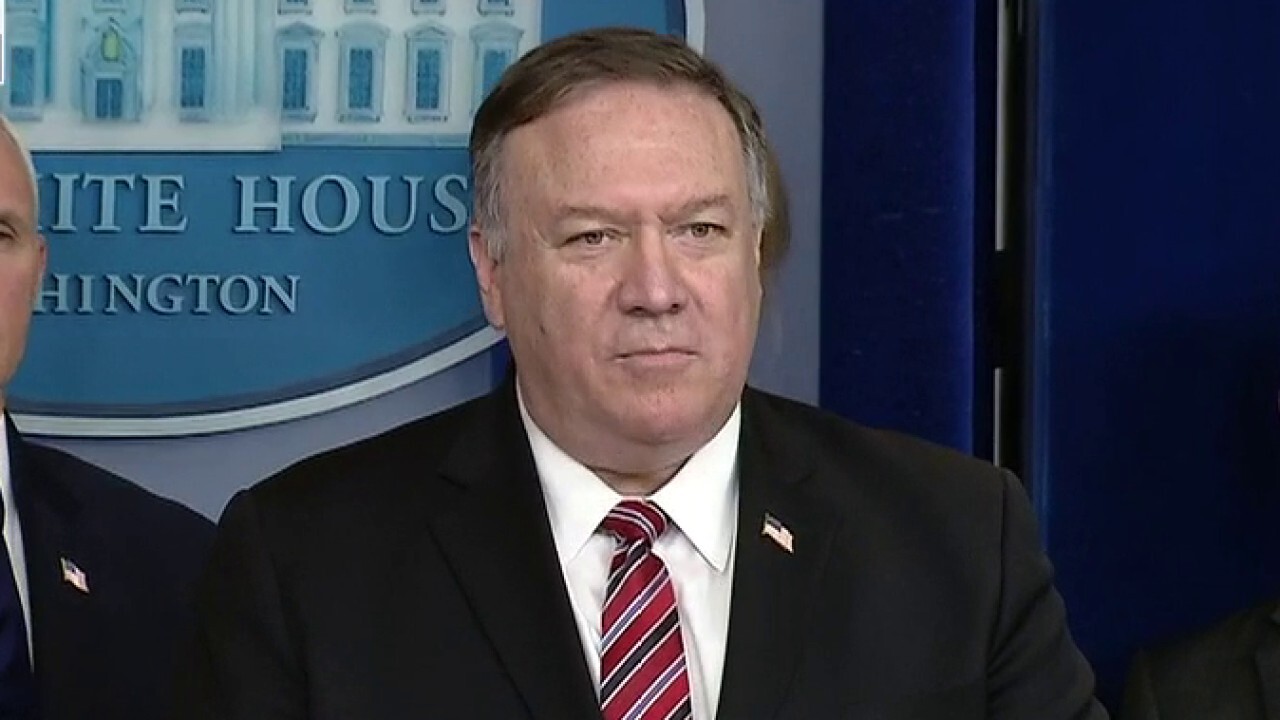 Pompeo: US continuing to deliver global leadership amid COVID-19 