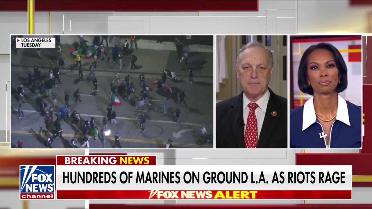GOP lawmaker calls anti-ICE riots ‘highly coordinated’ amid alleged links to Democratic groups