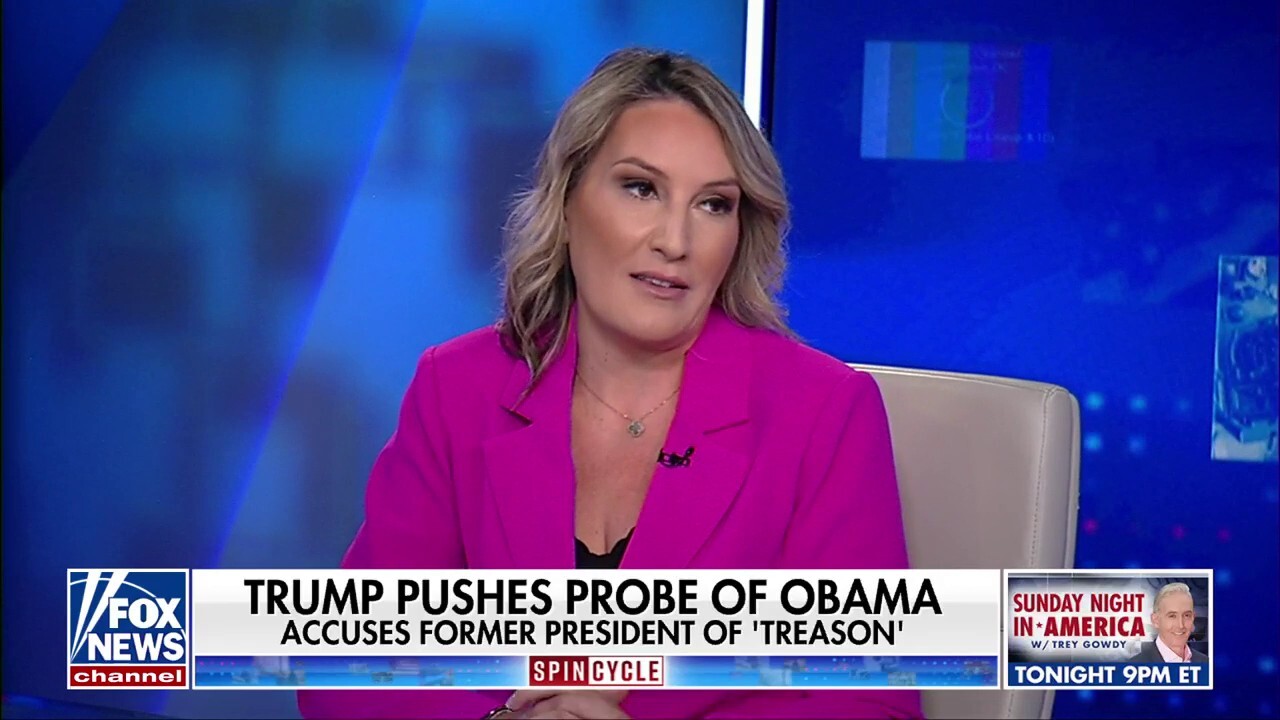 DOJ's Russia investigation is a distraction from Epstein files, former Biden official claims