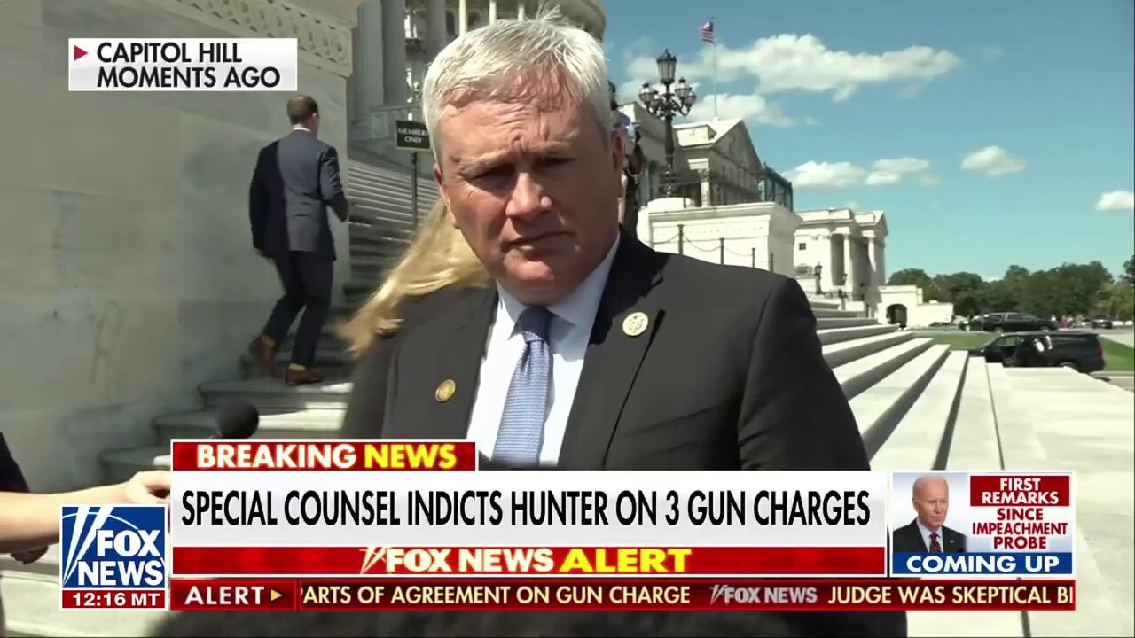 James Comer: This is the one crime Hunter has committed you can't tie Joe Biden to