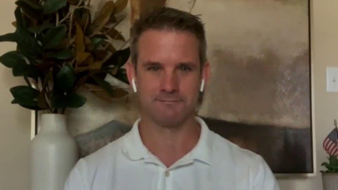 Rep. Adam Kinzinger weighs in on Trump campaign strategy	
