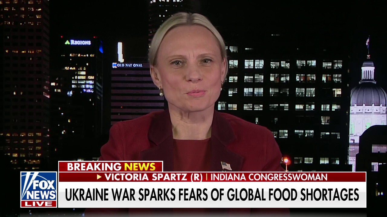 Ukrainian-born congresswoman slams Biden administration: 'Lack strategy, lack speed, and lack skill'