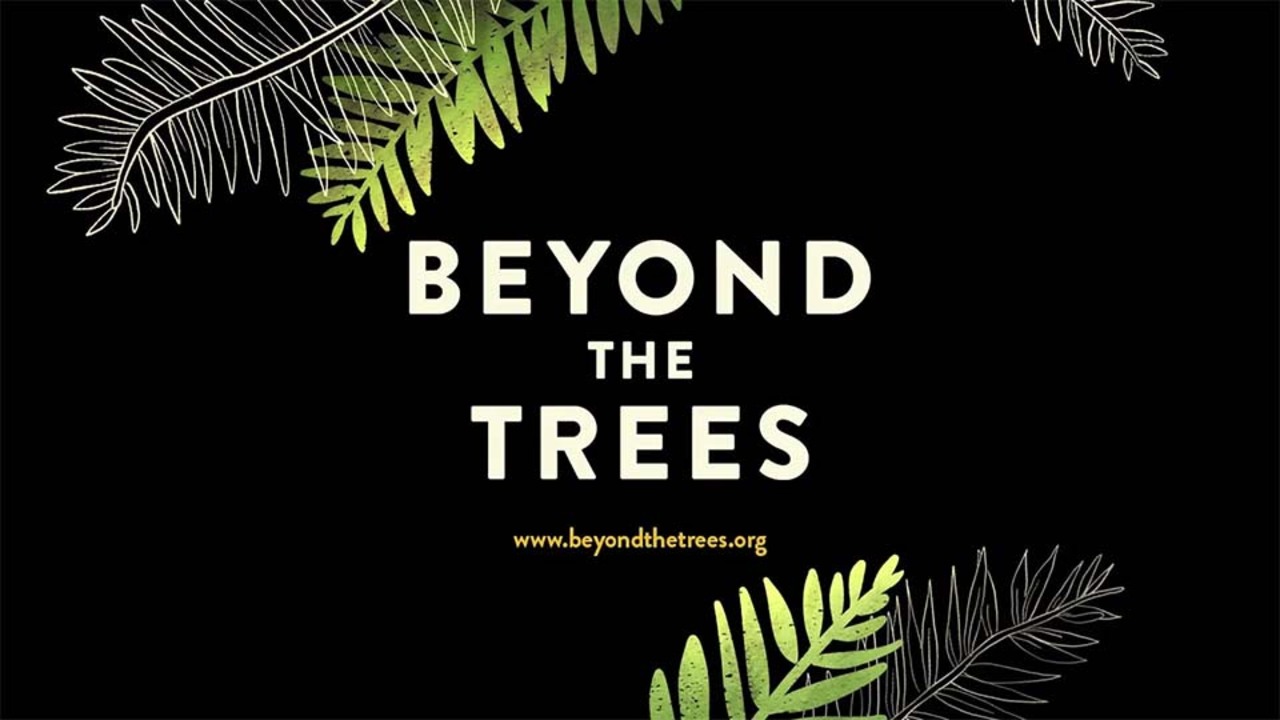 The Forest Project | VanEck