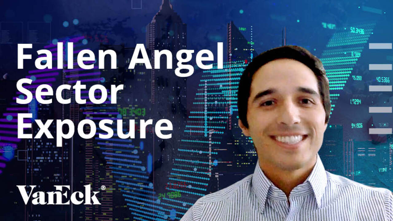 Anticipating Shifts in Fallen Angel Sector Exposure | VanEck