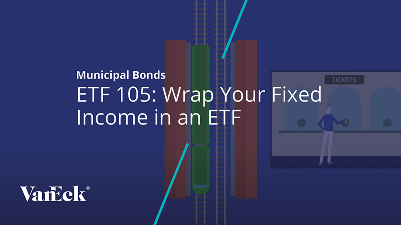 ETF 105: Wrap Your Fixed Income in an ETF | VanEck Americas Offshore