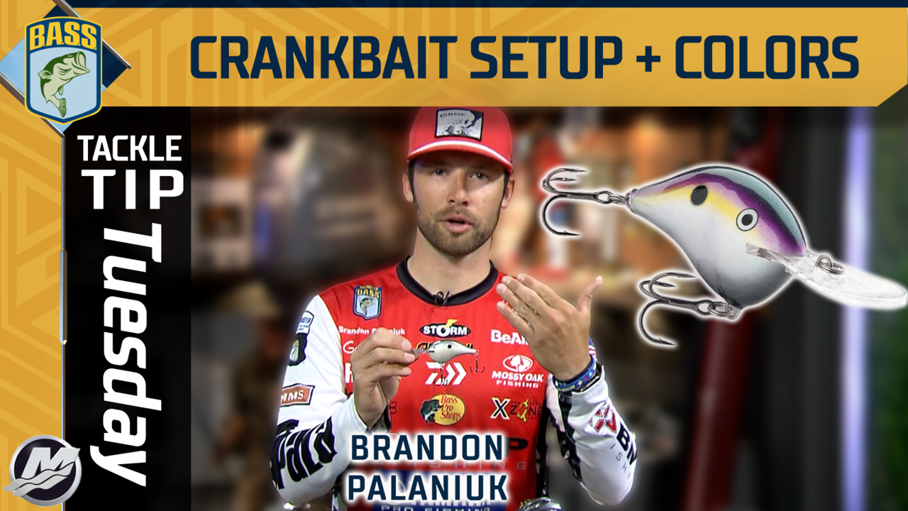 Palaniuk's crankbait colors for deep water fishing - BC Carl Test