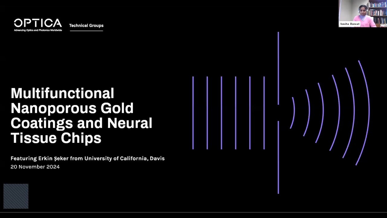 Multifunctional Nanoporous Gold Coatings and Neural Tissue Chips