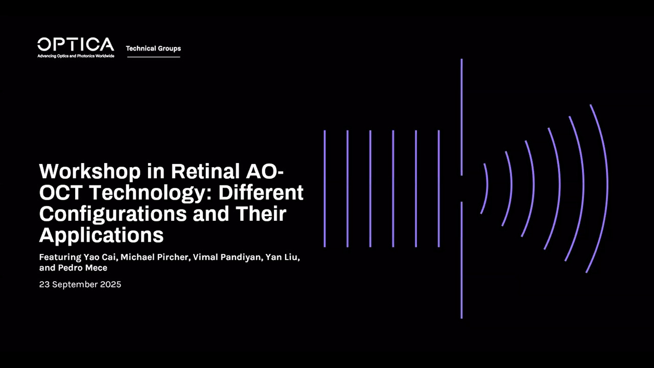 Workshop in Retinal AO-OCT Technology Different Configurations and Their Applications