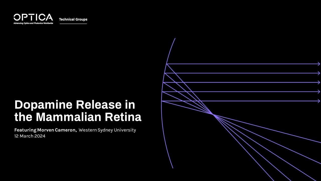 Dopamine Release in the Mammalian Retina