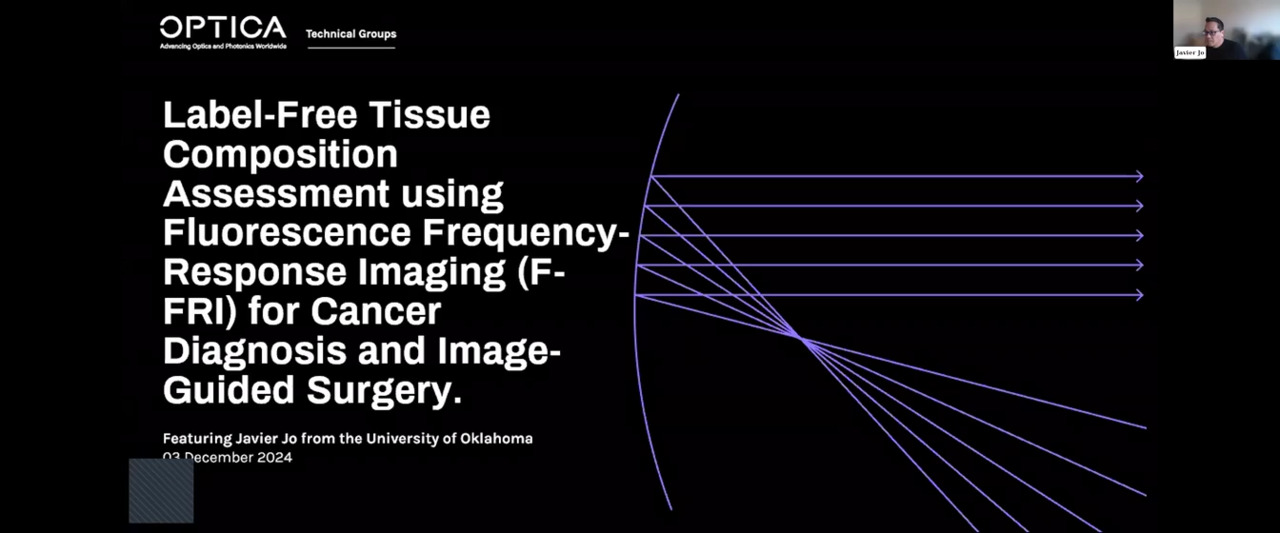 Label-Free Tissue Composition Assessment using Fluorescence Frequency-Response Imaging (F-FRI) for Cancer Diagnosis and Image-Guided Surgery