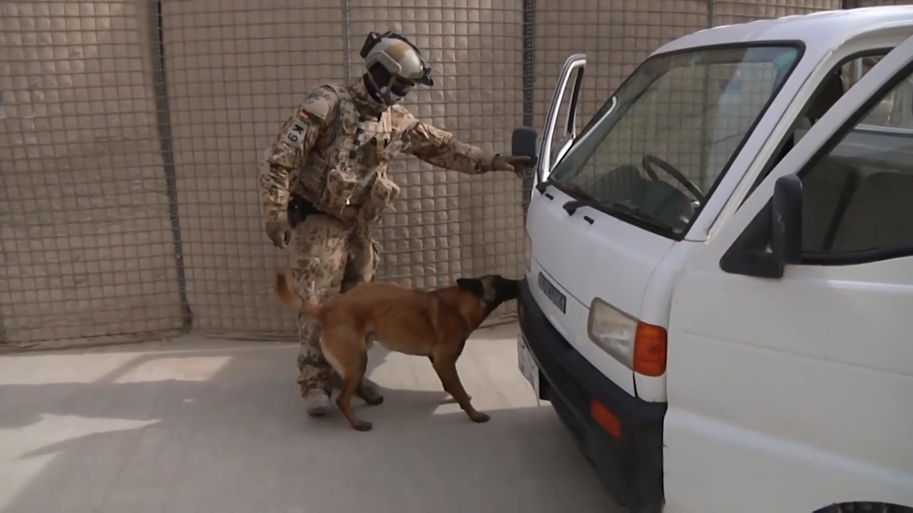 Explosive Detection Dogs in Action | Military.com