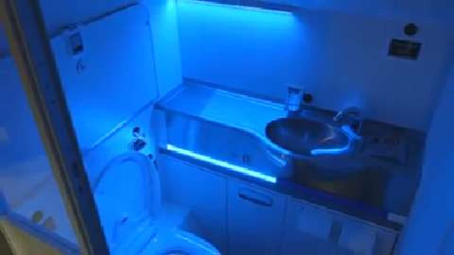 Does UV Light Kill Mold?