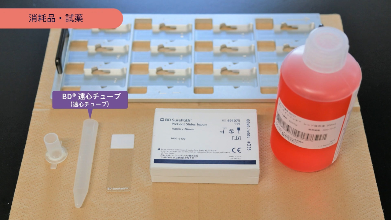 ルッツ様❁専用ページ Amazon.co.jp: 京商(Kyosyo) ミニッツAWD ホンダ ネオクラシック