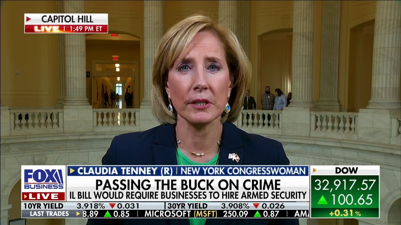 House Ways & Means Committee member Rep. Claudia Tenney slams New York Gov. Kathy Hochul's crime policies and discusses new legislation to redirect IRS funds to the border on 'The Big Money Show.' 