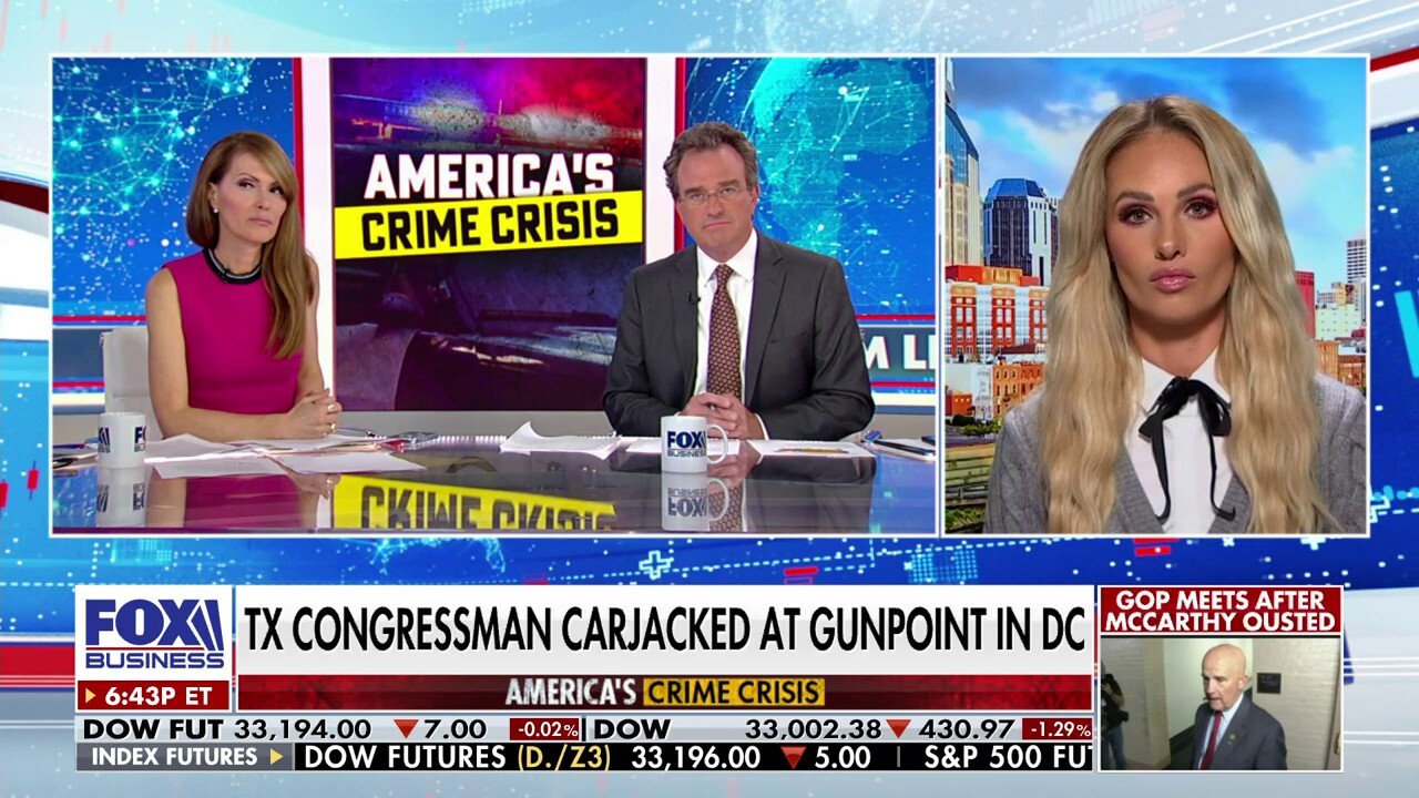 We don't have law and order in American cities: Tomi Lahren