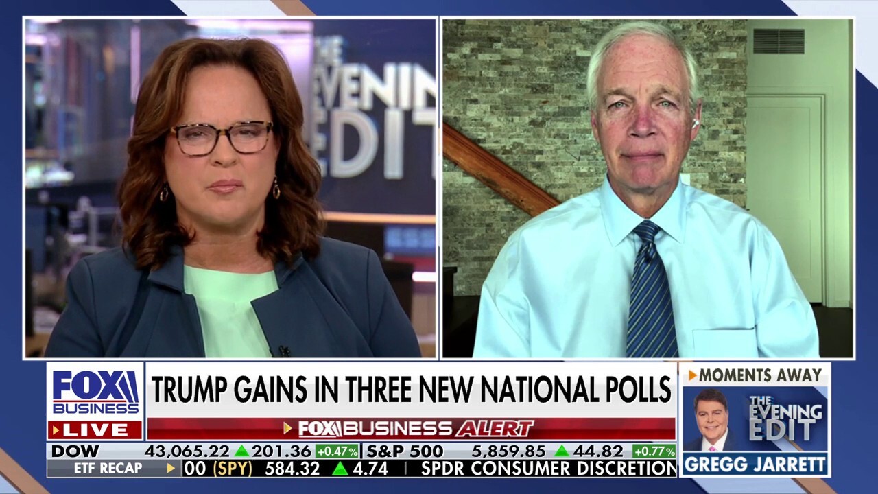 Kamala Harris did fine as long as the media 'put her on a pedestal': Sen. Ron Johnson